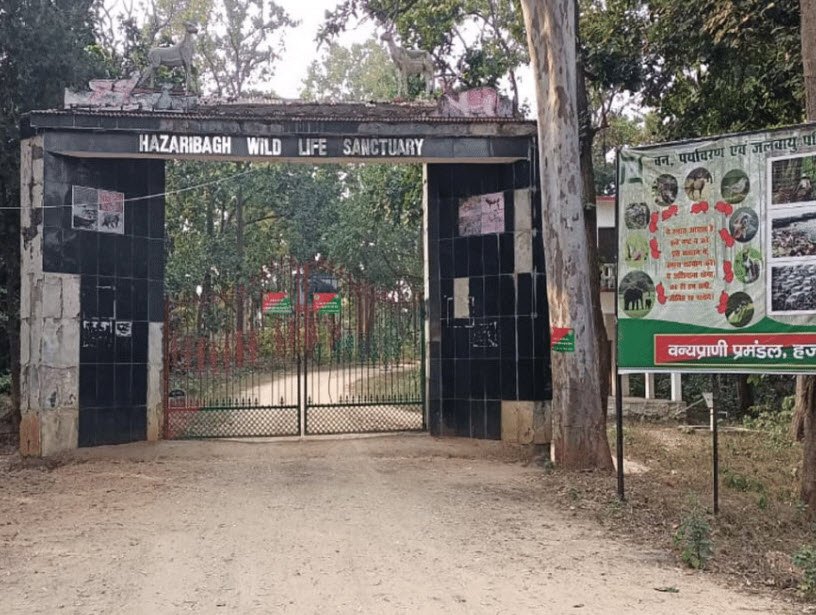 Hazaribagh Wildlife Sanctuary, Hazaribag, Jharkhand - Vushii.com